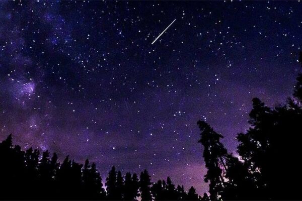 Первый весенний звездопад уже близко